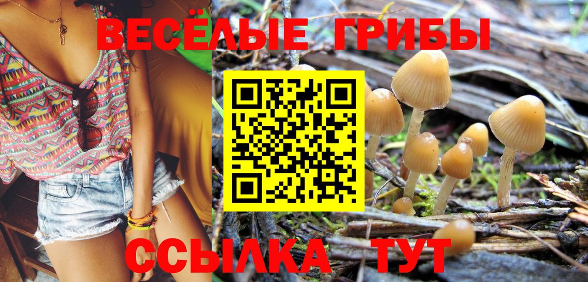 LSD-25  ГАШИШ  Cocaine  МДМА  Alpha-PVP СОЛЬ кристаллы  Вход с VPN  Мефедрон   Камень-на-Оби  Конопля 