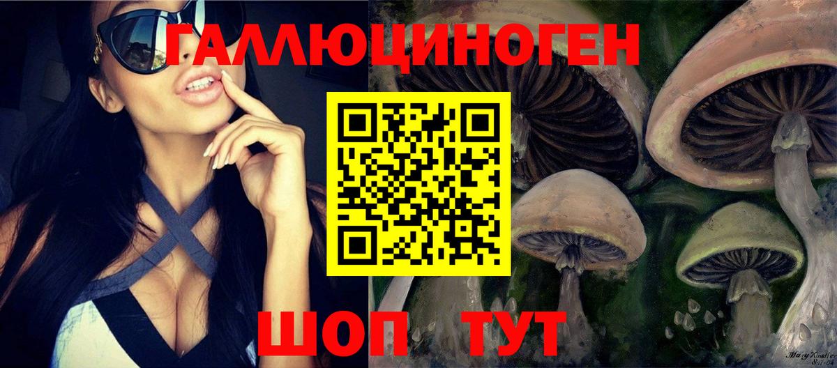 Галлюциногенные грибы прущие грибы  Вход с VPN  где продают наркотики  Камень-на-Оби 